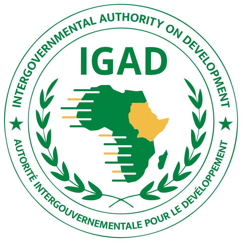 L'IGAD appelle à un apaisement immédiat alors que la violence politique s'intensifie en Somalie.