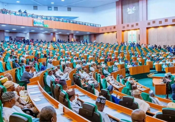 Nigeria : Les députés adoptent le projet de loi sur la police d'État