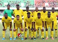 Les Éperviers affrontent la Guinée et le Niger en amical